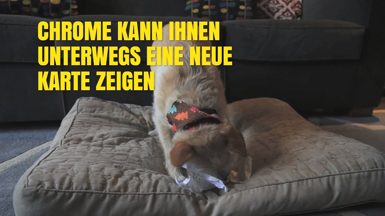 Chrome Dog