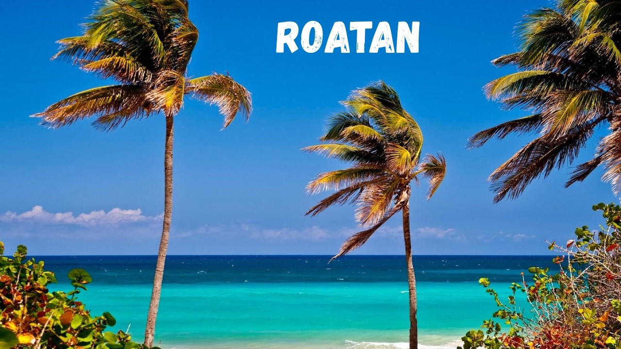 Roatán From Above - Caribbean Paradise🏝️🌴