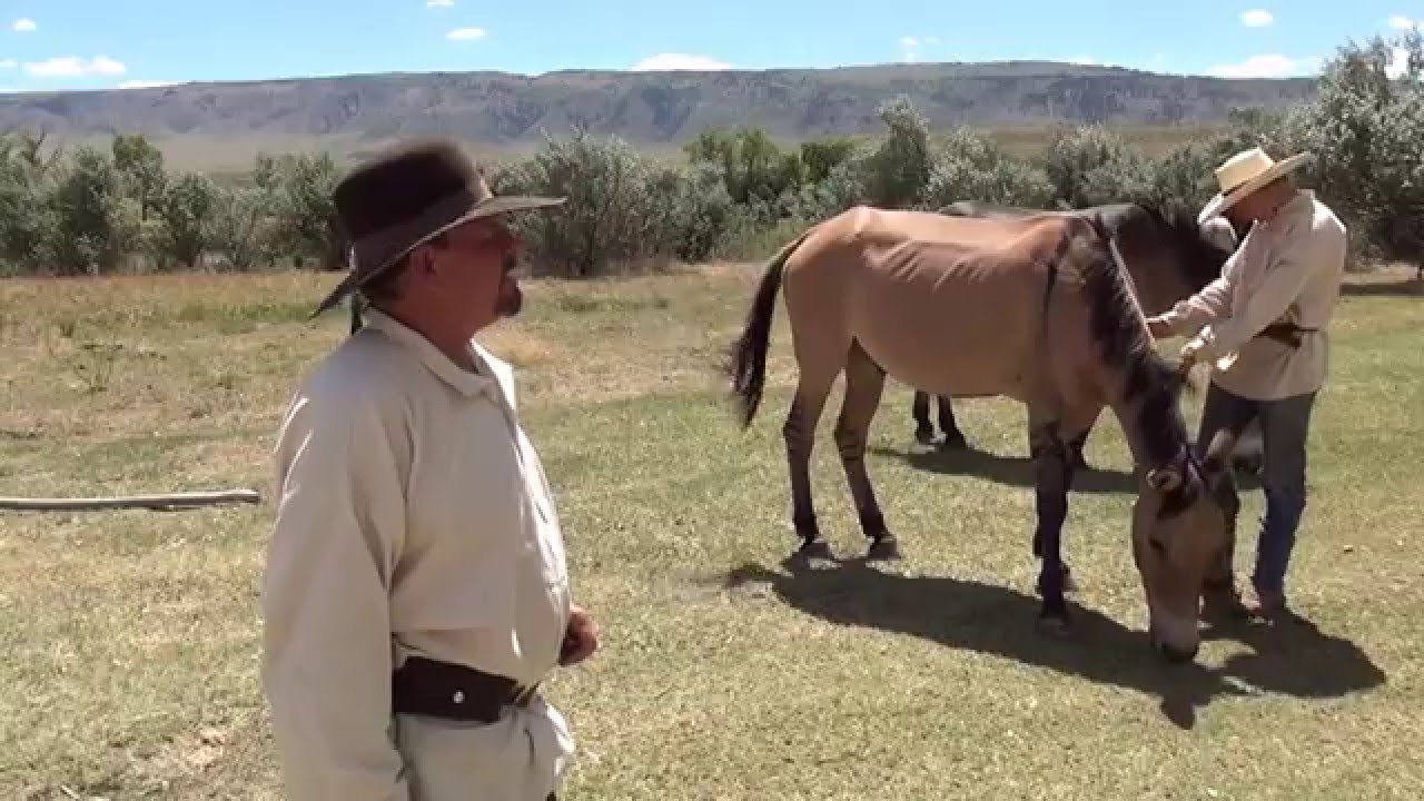 Our Experience   Historic Trails West