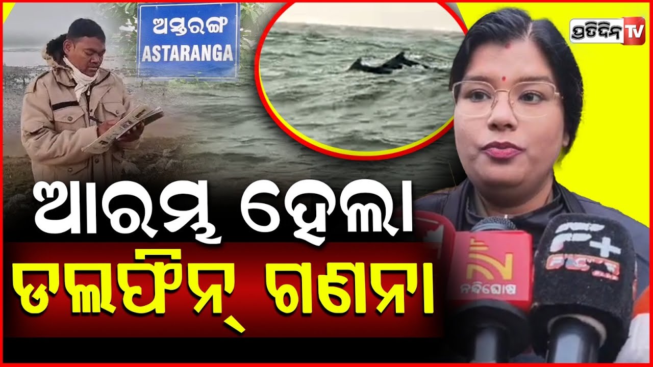 ଚିଲିକାରେ ଆରମ୍ଭ ହେଲା ଡଲଫିନ ଗଣନା,ବାଇନାକୁଲାର, କ୍ୟାମେରାରେ ଦେଖୁଛନ୍ତି ୧୮ ଟିମ୍ !Dolphin census in puri