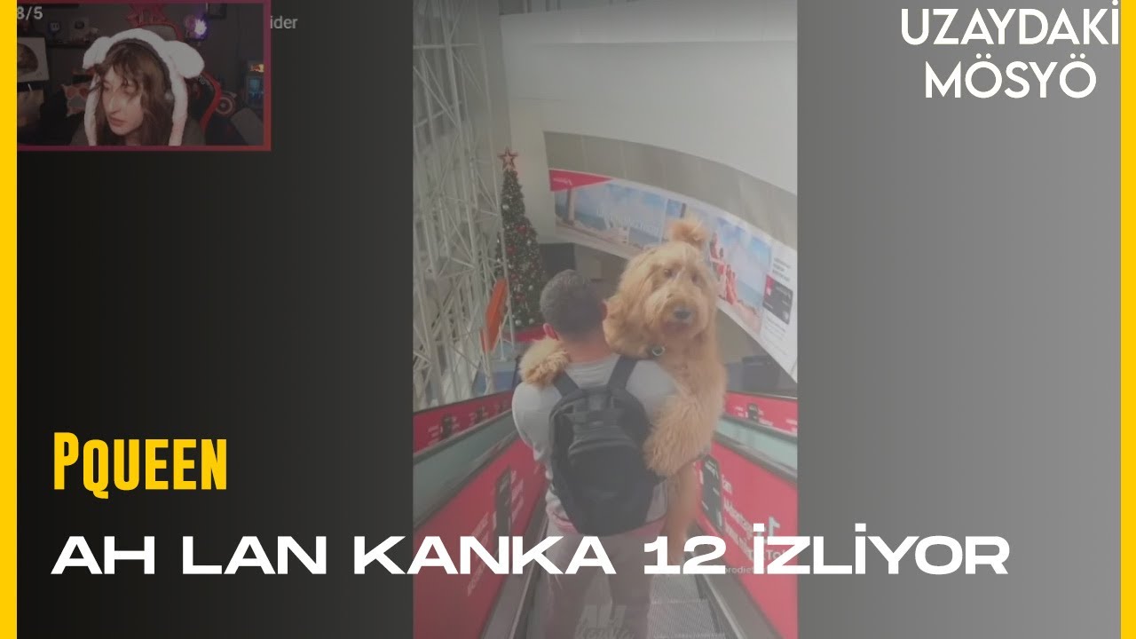 Ah Lan Kanka #12|Biri Gider Biri Gelir İzliyor