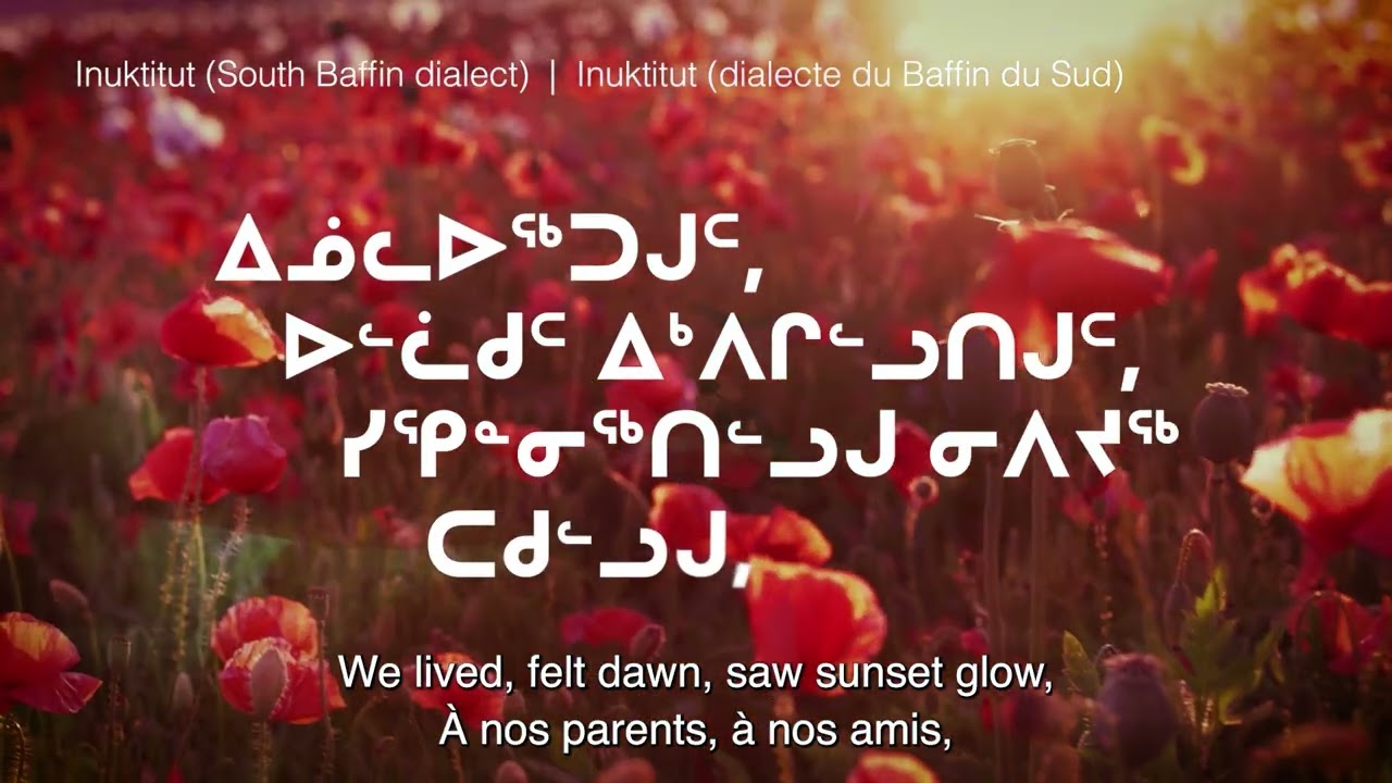 In Flanders Fields (Multilingual)