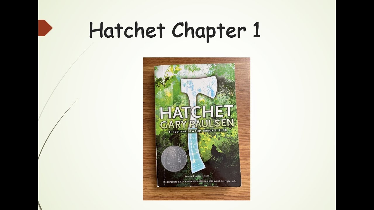 Hatchet Chapter 1 Reading & Study Guide