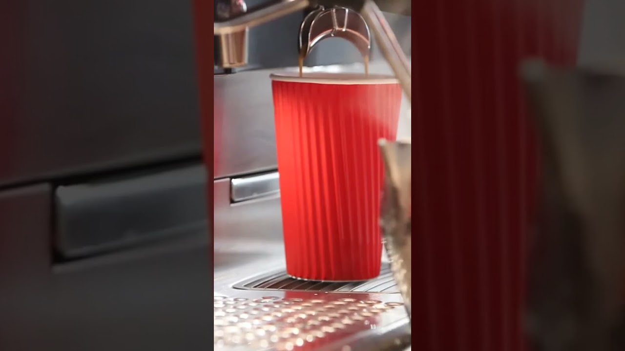Restaurant Stock Footage ｜ Royalty Free 2 