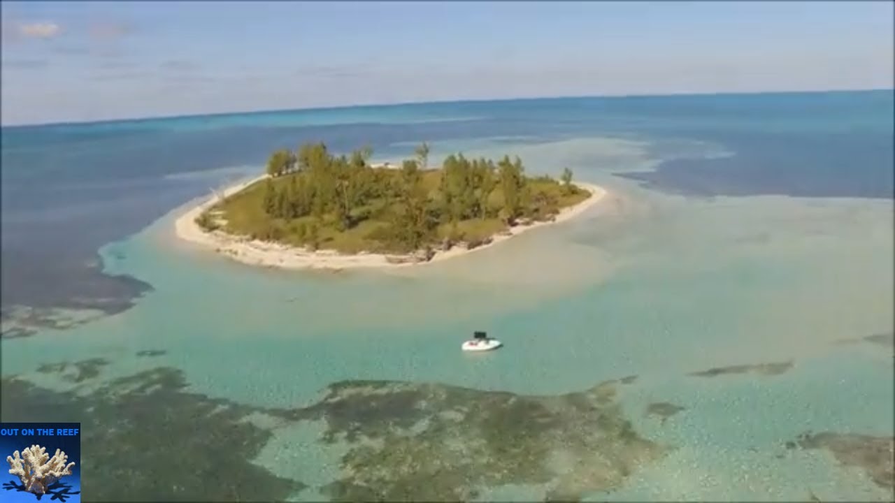 West End Freeport Bahamas Solo Boating Caribbean Fishing Trip