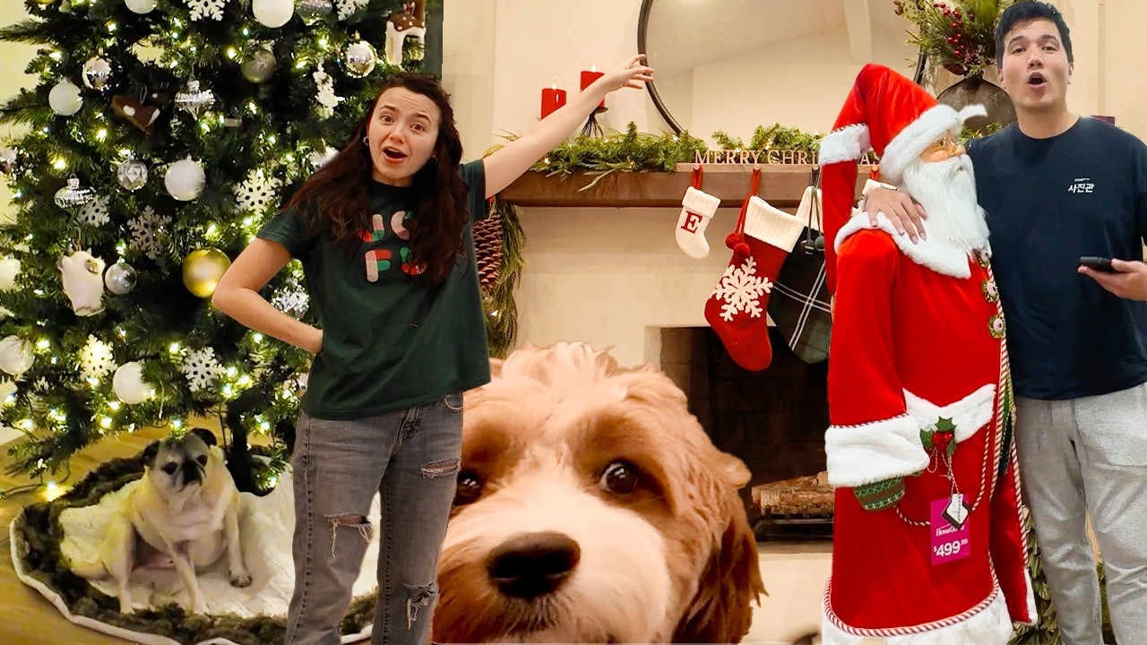 Decorating Our House For The Holidays!