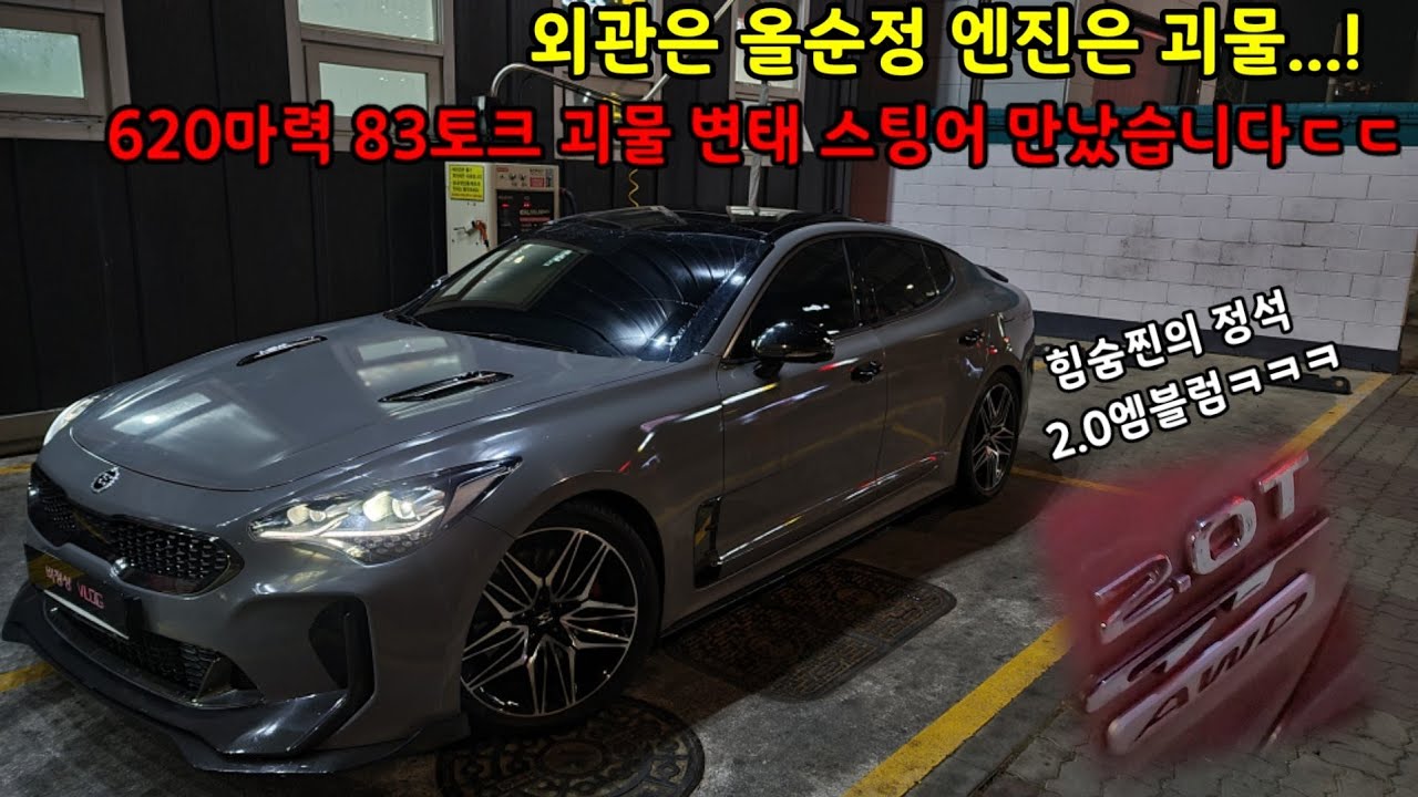 힘숨찐 620마력 83토크 괴물스팅어 외관 올순정+2.0 엠블럼 변태 차주 만났습니다ㅋㅋ #양카 #비정상Vlog