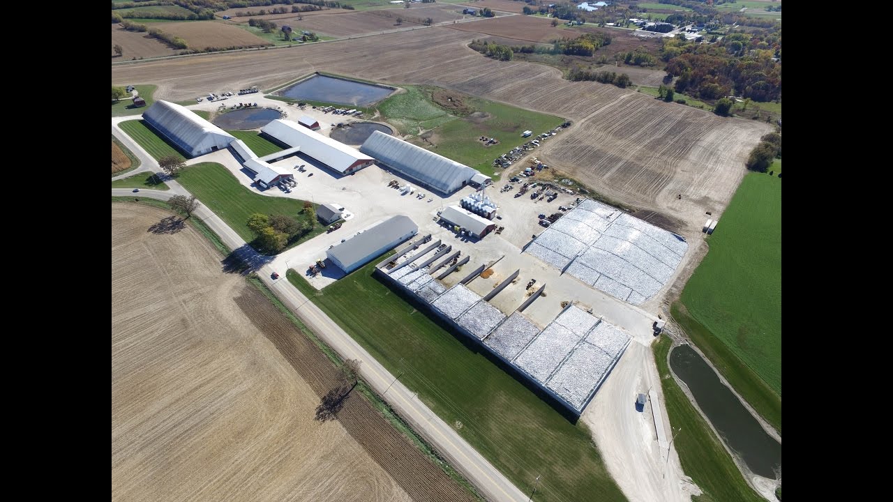 Abel Dairy Farms Corn Silage Harvest 2016