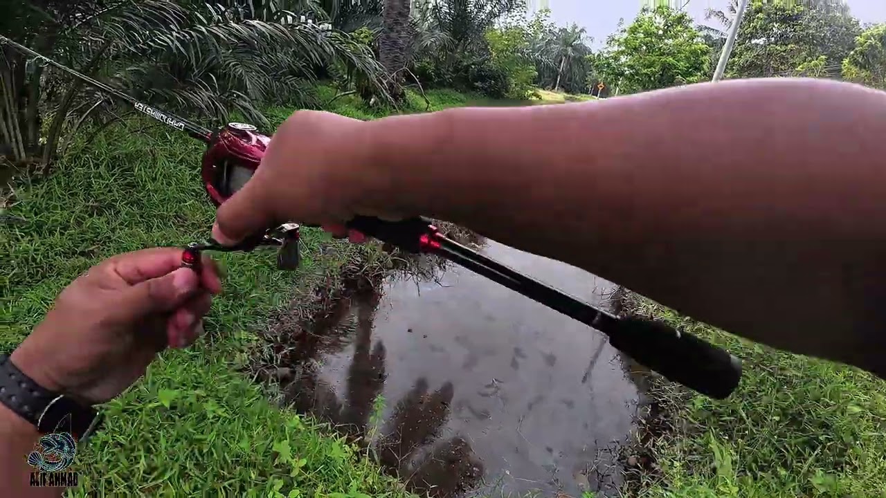 MEMBANTAI HARUAN PARIT ! 