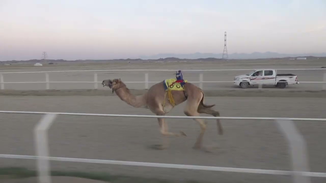 13 فبراير، 2026