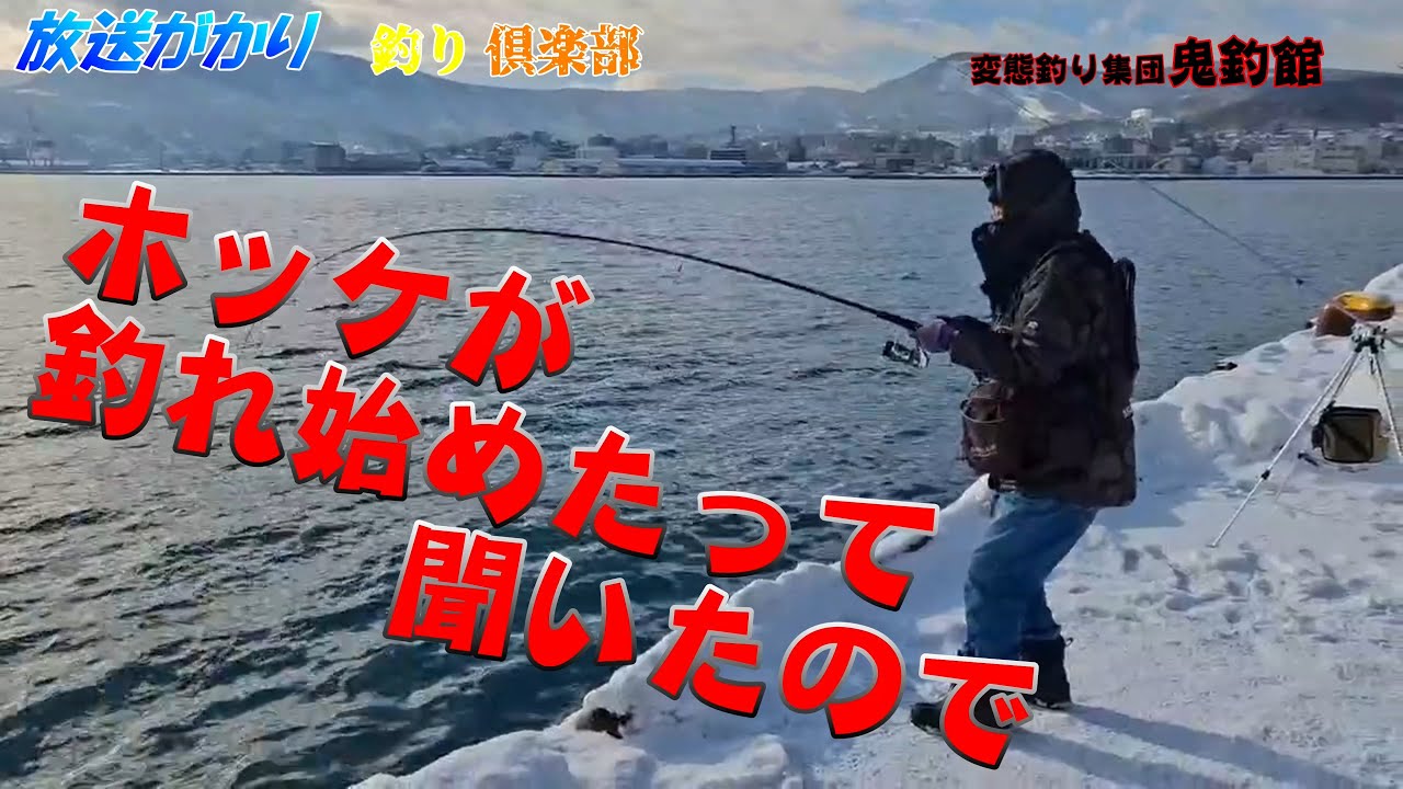 【北海道　釣り】　ホッケが来たって聞いたので行ってきた！　小樽港