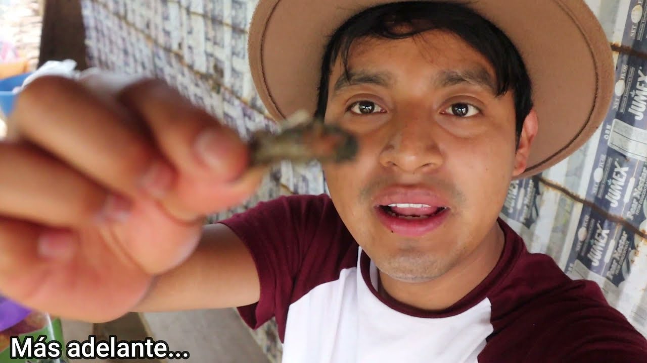 MI GENTE VIEJO PREPARA UN TRADICIONAL CALDO DE CAMARÓN CON HOJA DE CONEJO
