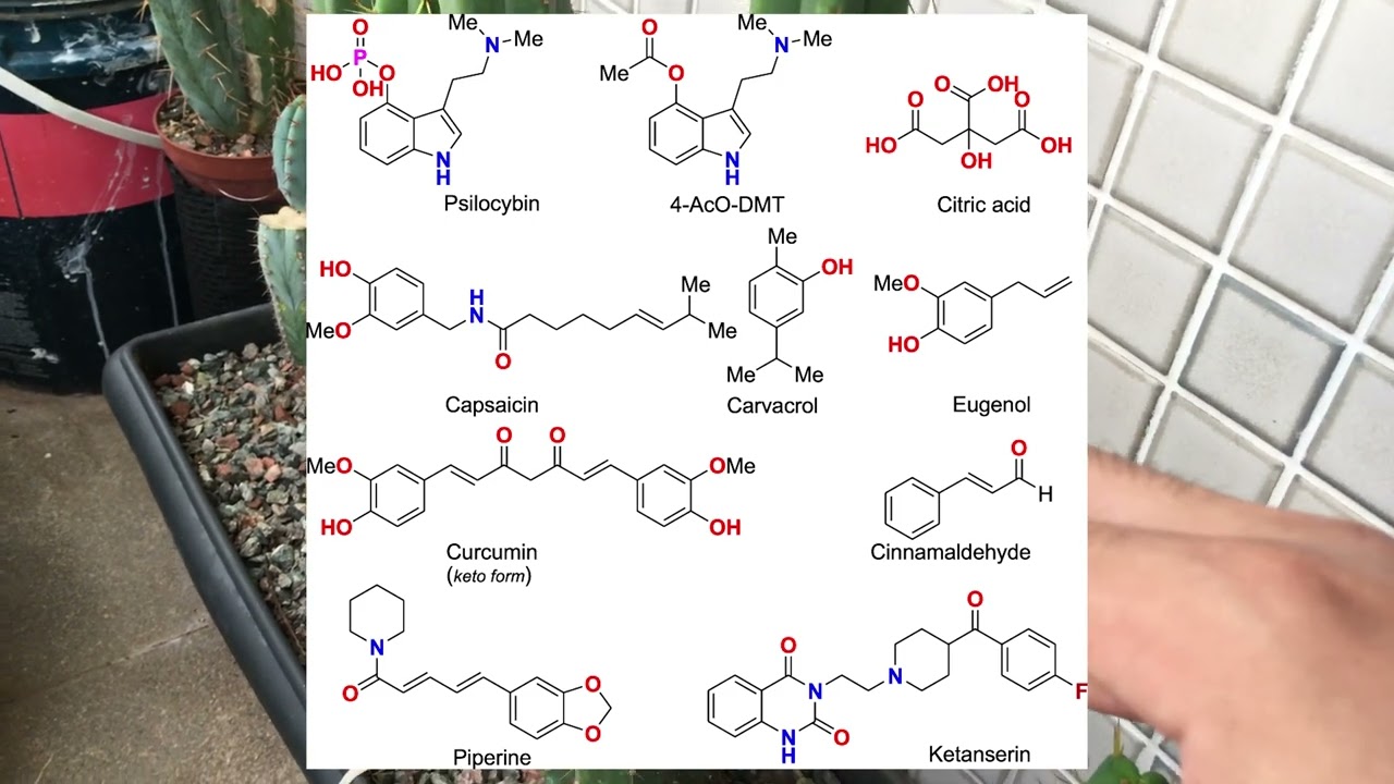 Possibly increase effects of plant teas with citric acid, piperine or other TRPV1 agonists