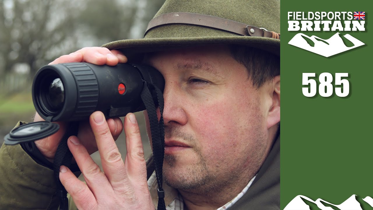 Fieldsports Britain - thermal deerhunter