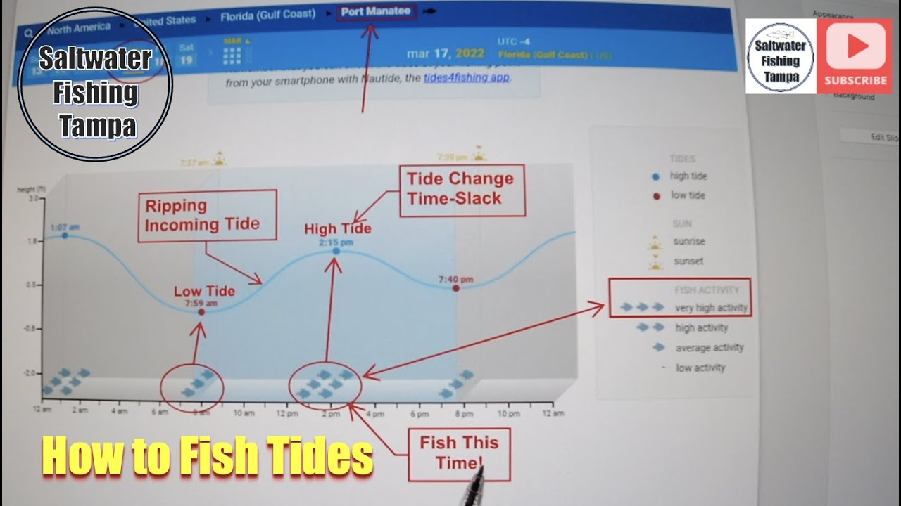 Learn How to Read Fishing Tides and Catch More Fish!