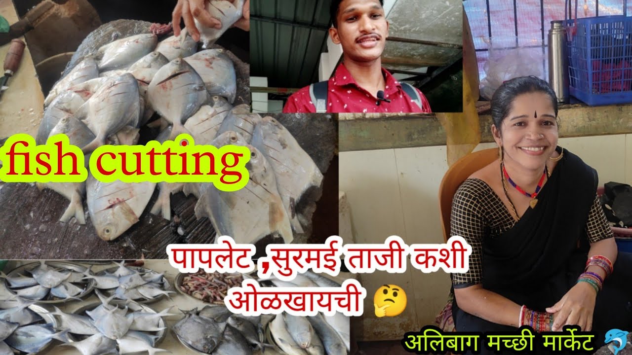 पापलेट ,सुरमई ताजी कशी ओळखायची 🤔.....fish cutting 🐟🐬 अलिबाग मच्छी मार्केट 🐬