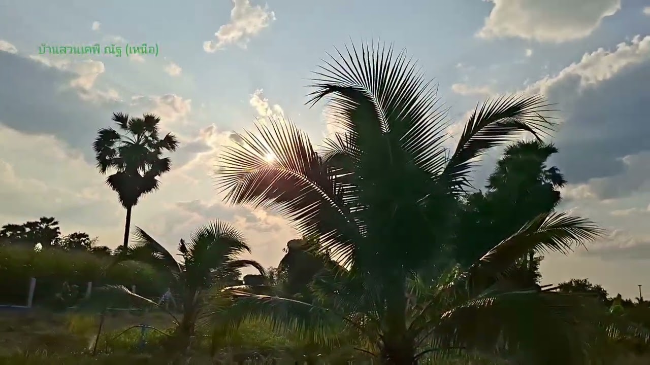 EP 12. ห้องครัวใกล้เสร็จทำระบบน้ำหยดต่อ