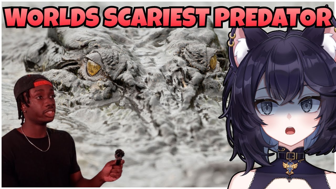 This is World's Scariest PREDATOR of ALL Time!  | Casual Geographic REACTION