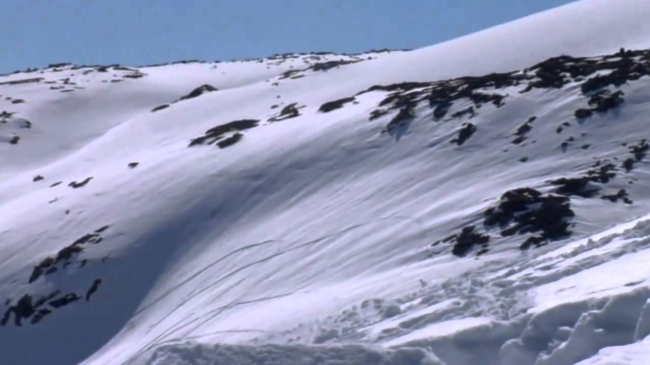 Best of Sweden - Snowmobiling