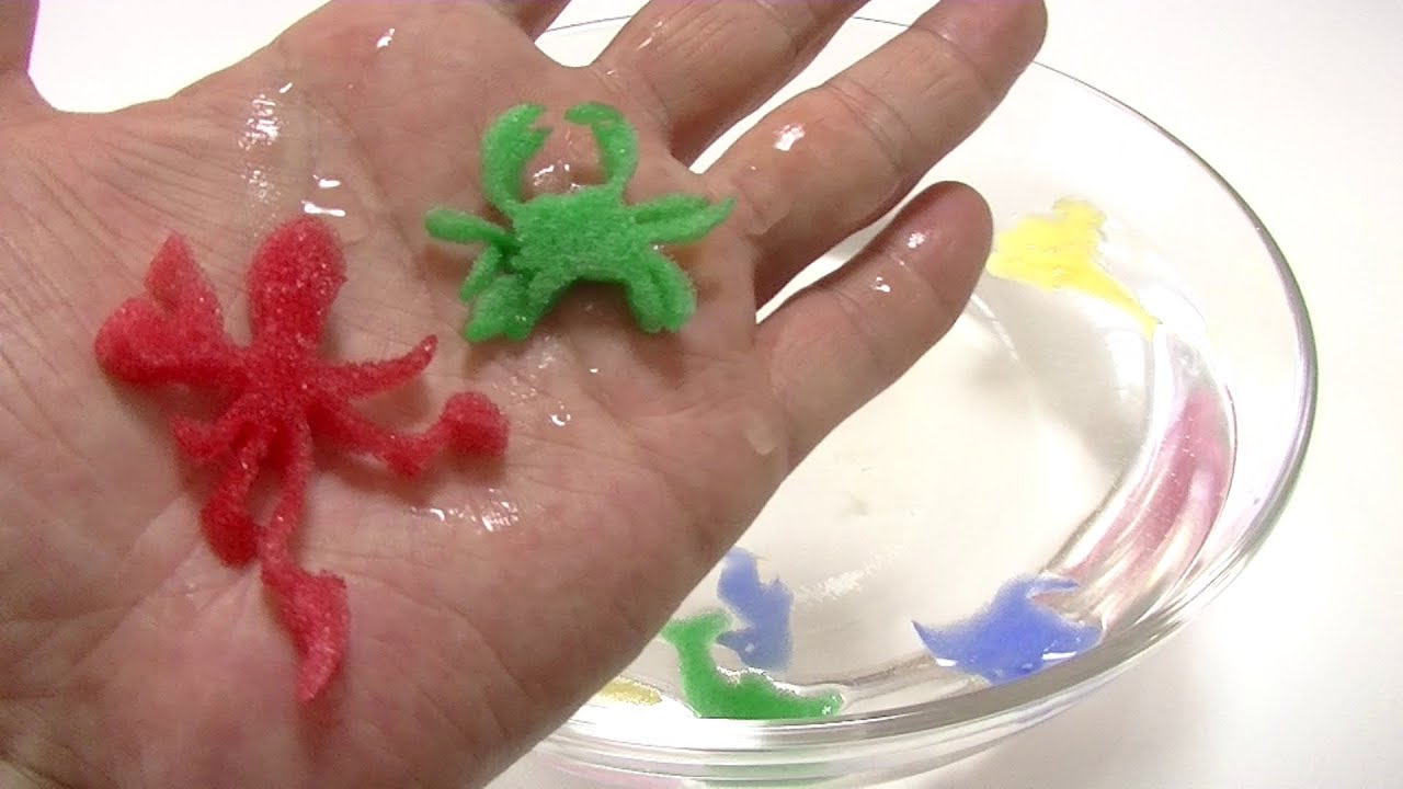 Grow Magic Sea Animal Capsules! Sea Animal Toys 海の動物カプセル