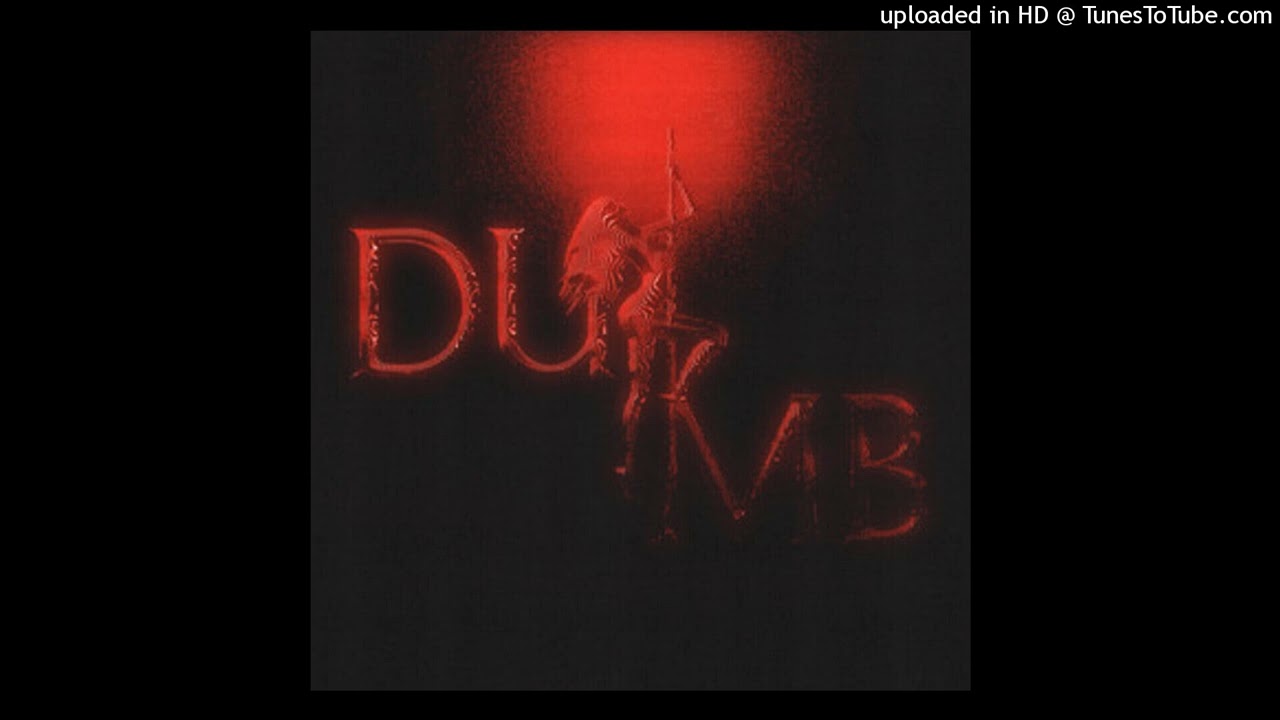 noir - dumb remix