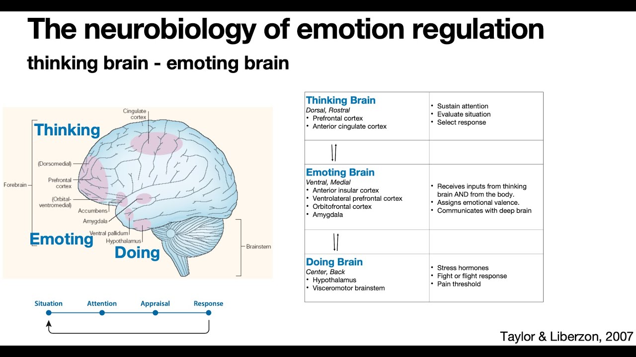 Emotion Regulation. What causes emotional reactions and how can we modify them?