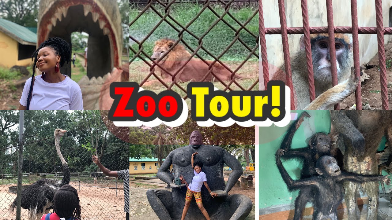 Exploring the Oldest Zoo in Imo state Nigeria || with all wildest Animals  #explore #tourism #viral