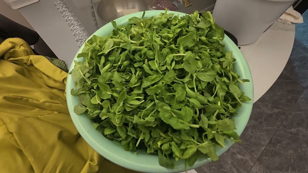 20260214 0216年夜饭备菜 干切牛肉 什锦菜