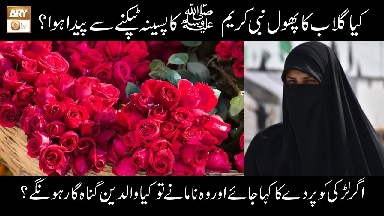 Kya Gulab Ka Phool Nabi e Kareem S.A.W.W Ka Paseena Tapakne Se Peda Howa? | Islamic Information