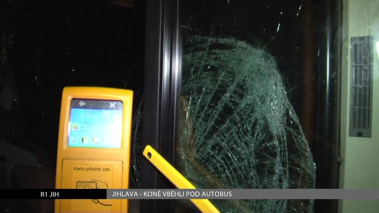 JIHLAVA: Koně vběhli pod autobus (R1 JIH)