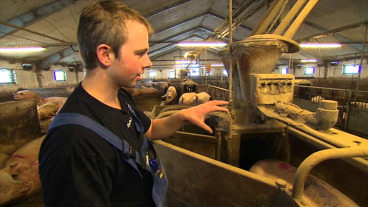 Brødre i parløb
