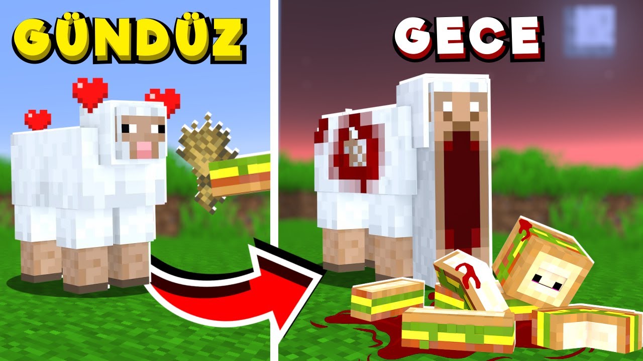 HER GECE MİNECRAFT LANETLENİYOR!