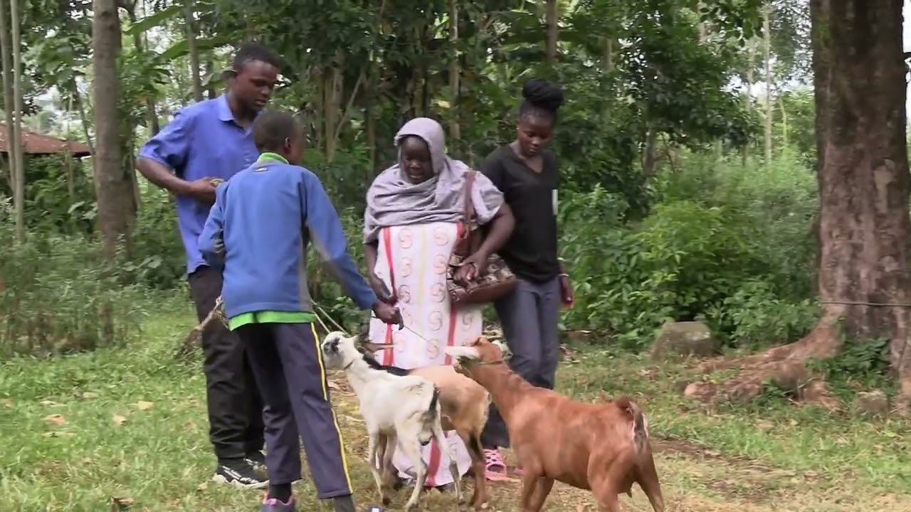 ABACHURUSI BHA SOKO MJINGA LUHYA MOVIE