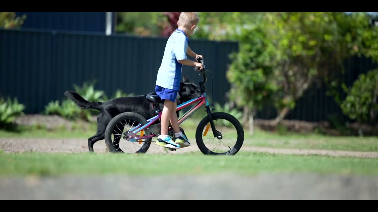 27 Cabrera Crescent, Beerwah QLD 4519 - Dual Living, Home Business Potential & Modern Comfort