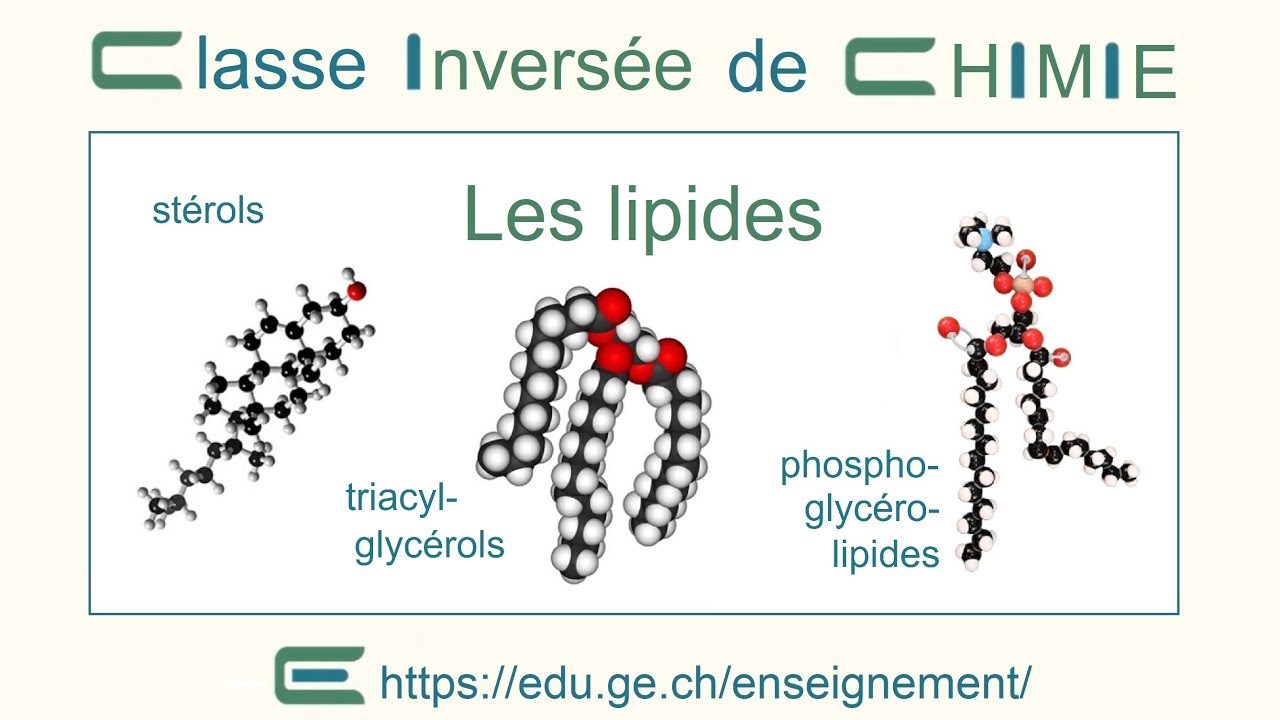 OCN2D Nature chimique des lipides (classe inversée)