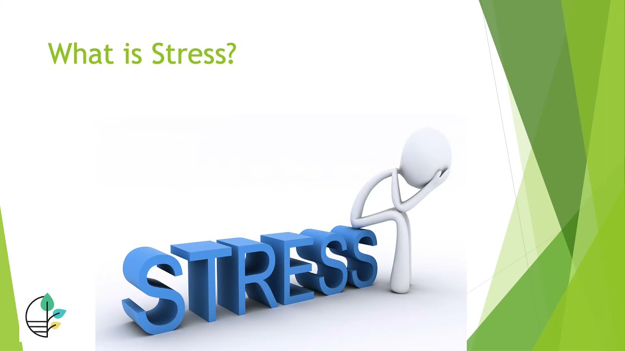 Stress and Anxiety Among High School Students -  Anxiety Institute