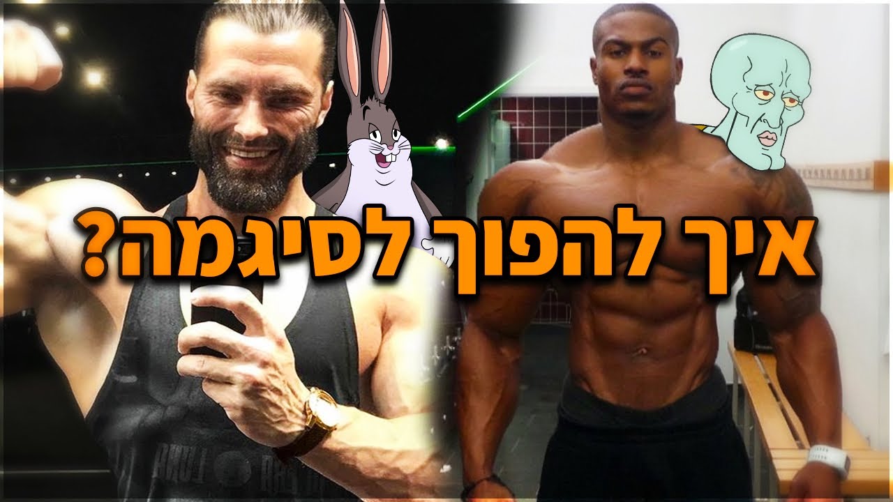 איך להיות זכר אלפא סיגמה יוגורט