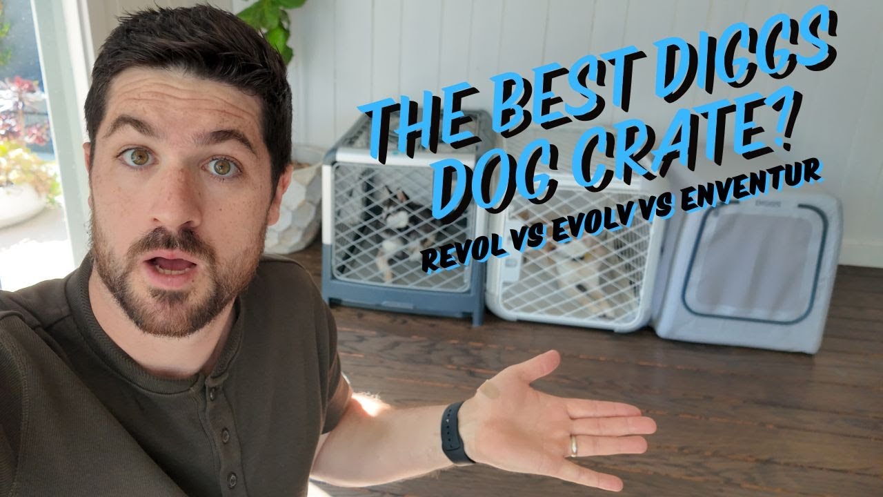 Сравнение ящиков для собак Diggs (Revol, Evolv и Enventur)