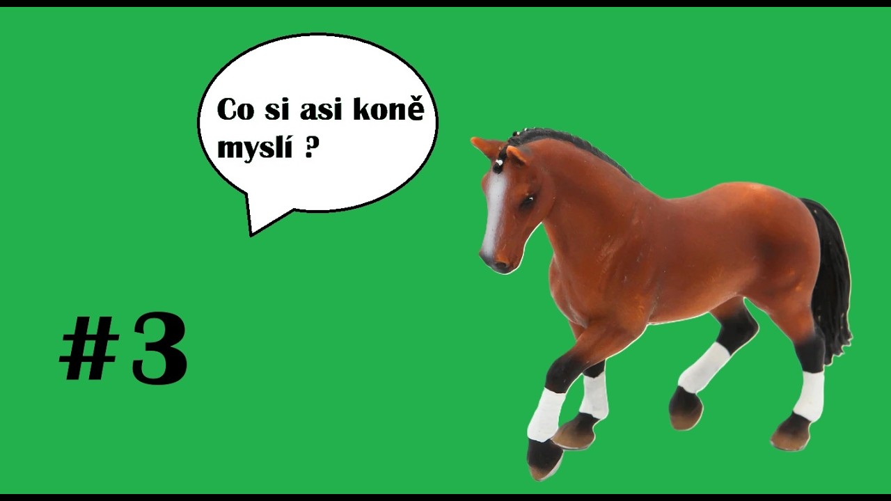 Co si asi koně myslí? 3