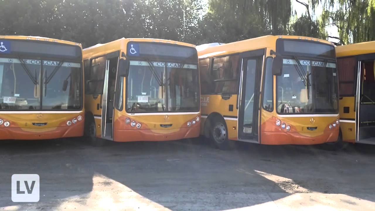 Nuevos omnibus de Coniferal