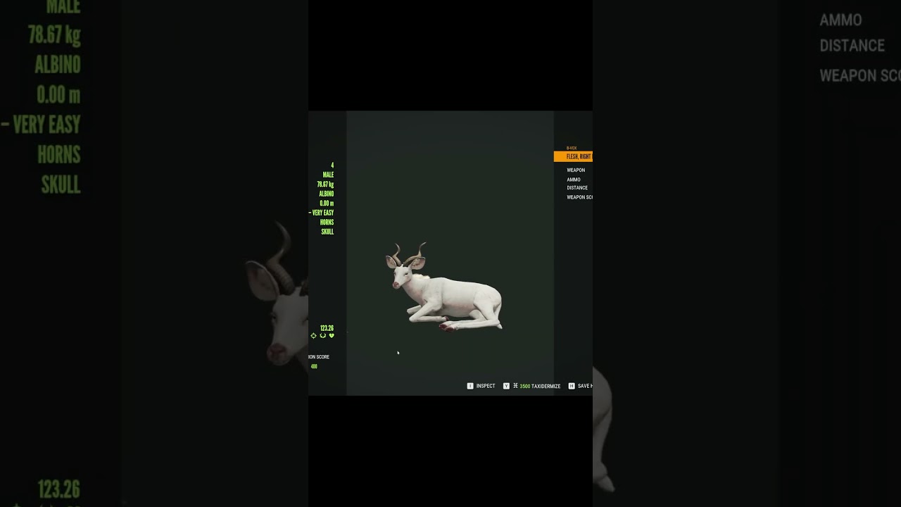 I shot an Albino Lesser Kudu  in the hunter call of the wild
