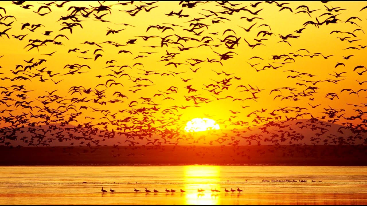 Dezza - Save As (Original Mix) [HD]