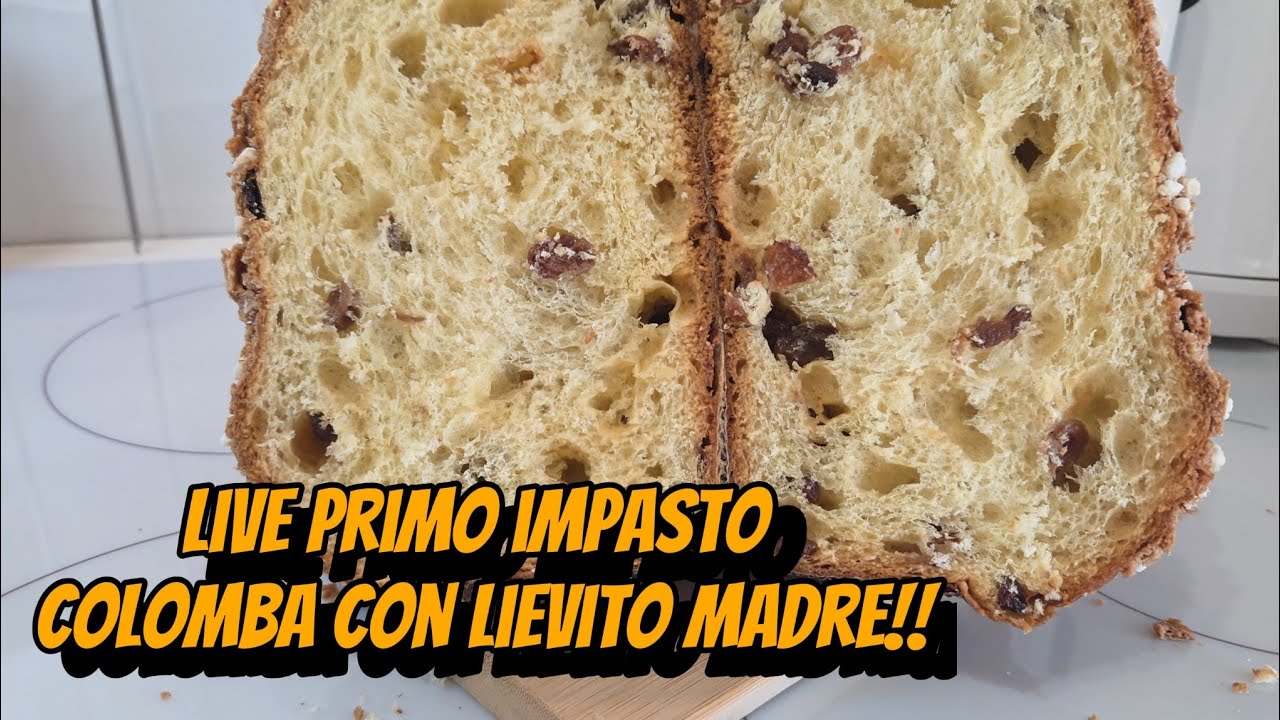 Live primo impasto colomba con lievito madre