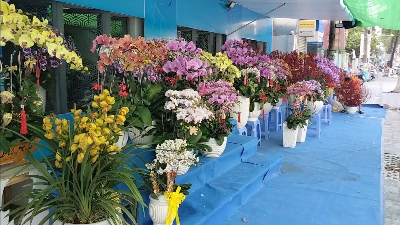 Tham quan chợ hoa xuân cần Thơ năm 2026 