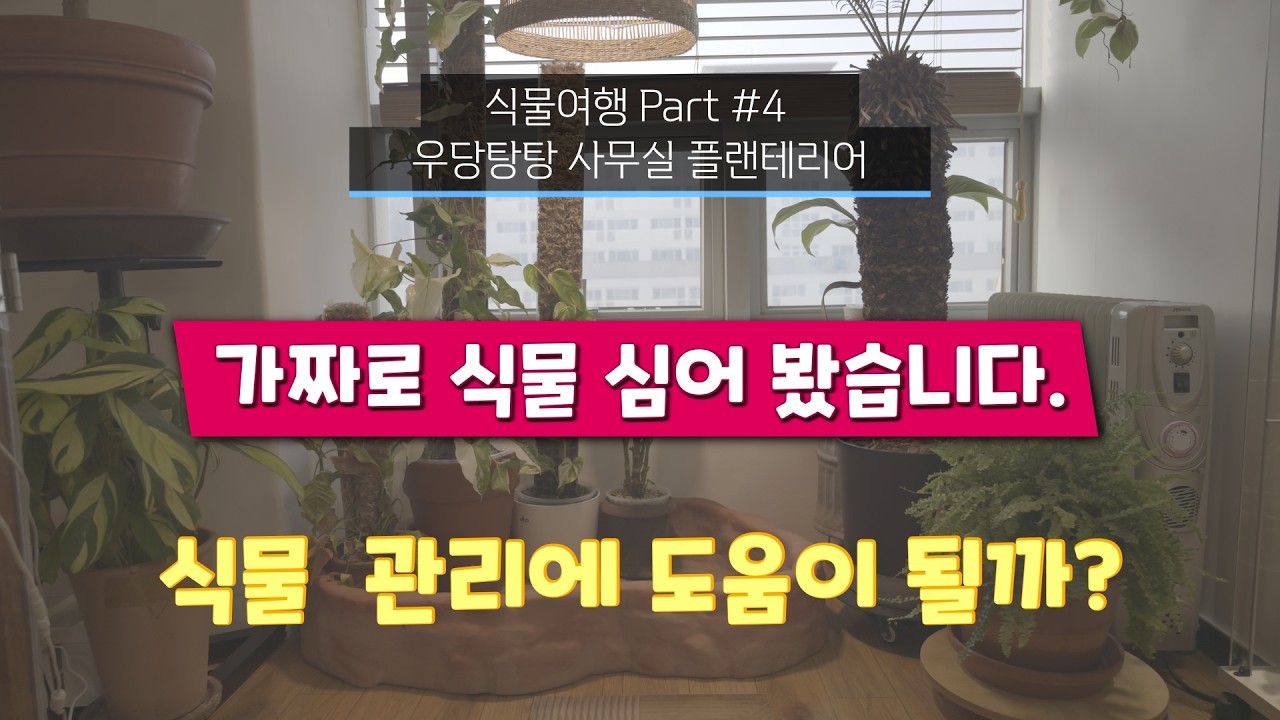 초보 식집사의 식물 일기 '식물여행' 채널입니다.나만의 멋진  플랜테리어와 건강한 가드닝 정보를 공유합니다. 많은 관심과 격려 부탁드립니다.