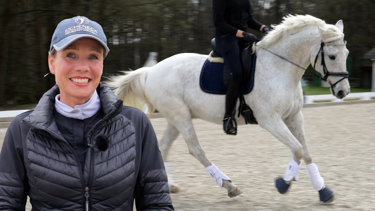 Angaloppieren aus dem Trab - Reiten lernen und verbessern | Tutorial Teaser