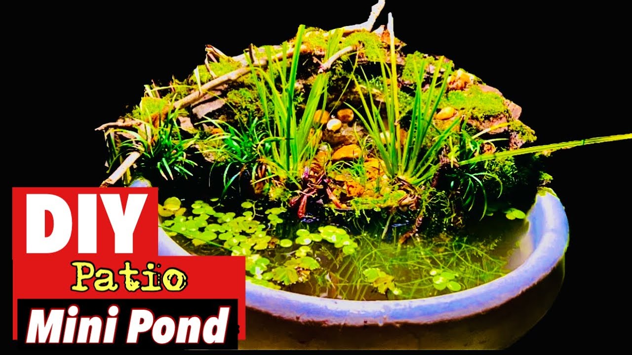 How I Built an Incredible DIY Patio Mini Pond with Natural Stone Waterfall!- Step by Step Tutorial