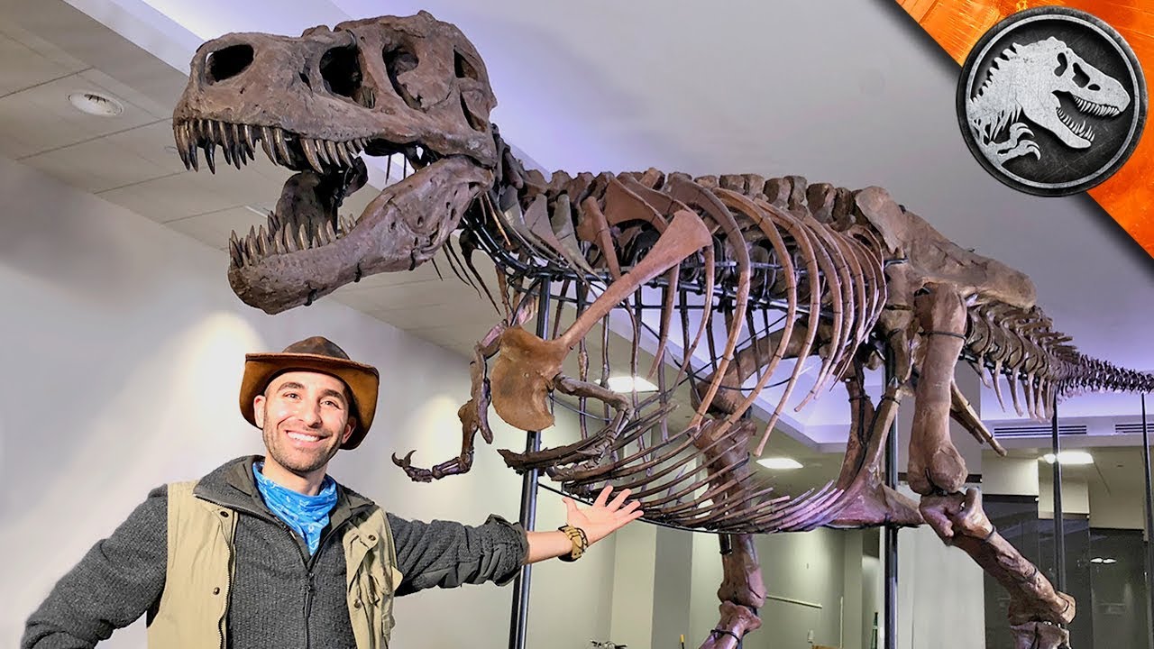 WORLD'S BIGGEST T-REX!