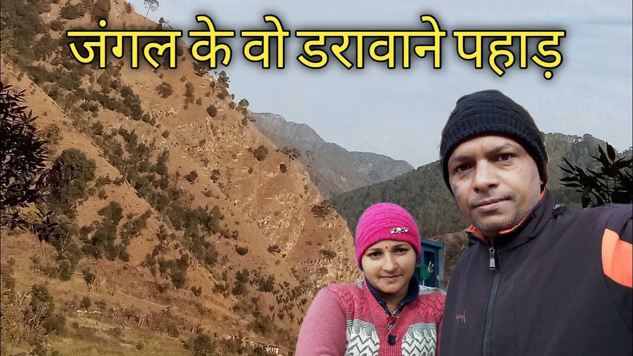 सुनसान जंगल में लकड़ी लेने गए 🤔 pahadi lifestyle ll