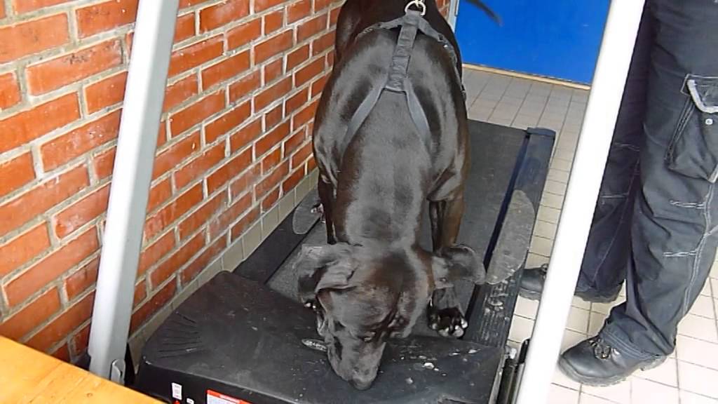 Onyx